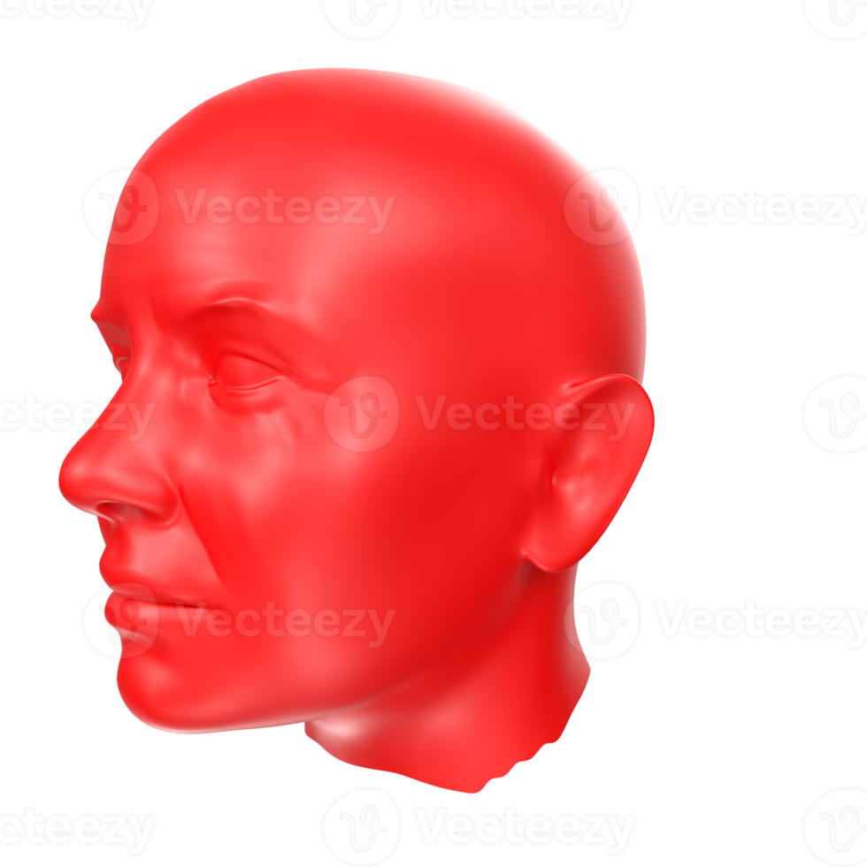 representación 3d del busto humano png