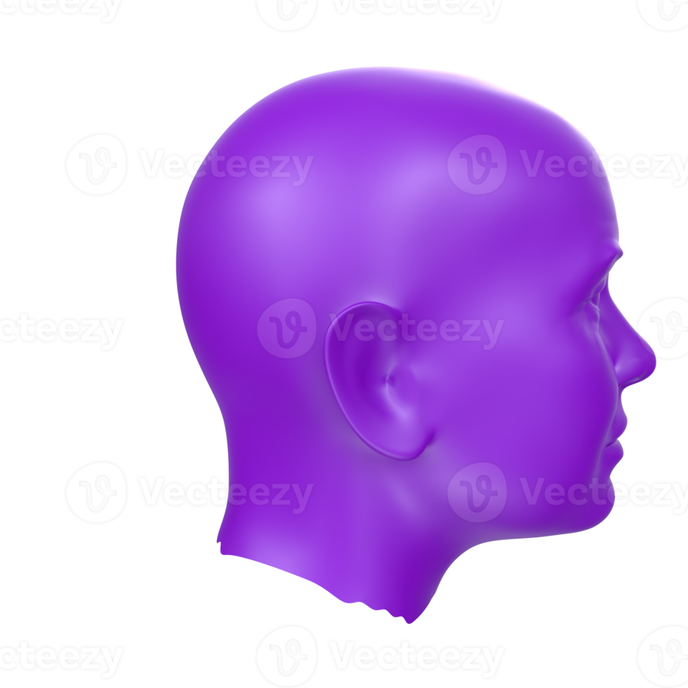 3D Rendering Of Human Bust png