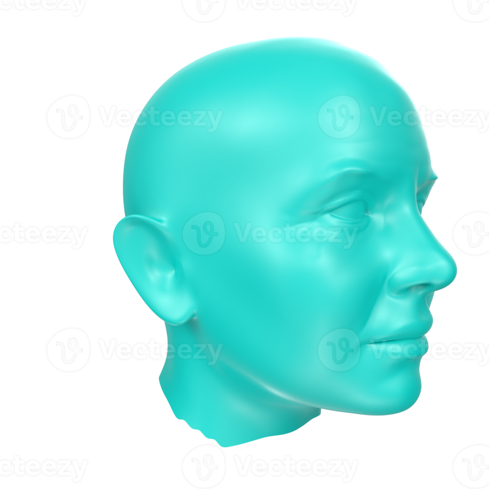 3D Rendering Of Human Bust png