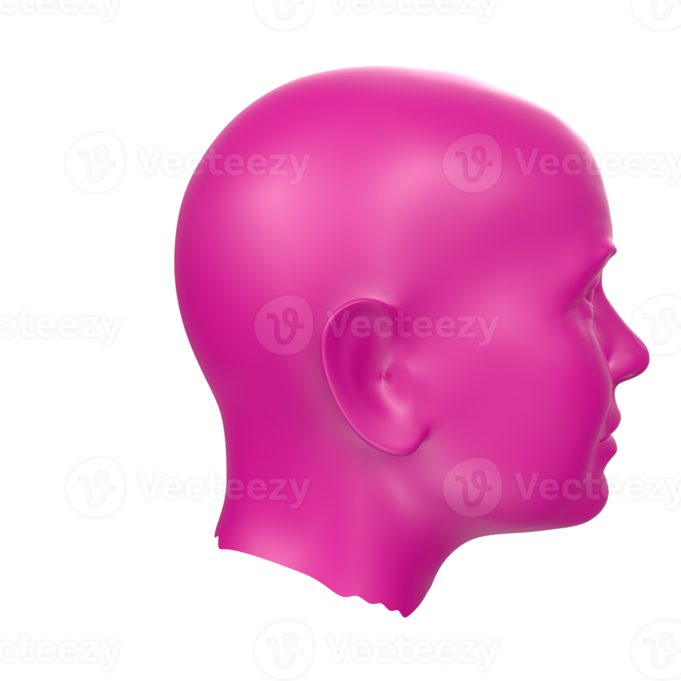 3D Rendering Of Human Bust png