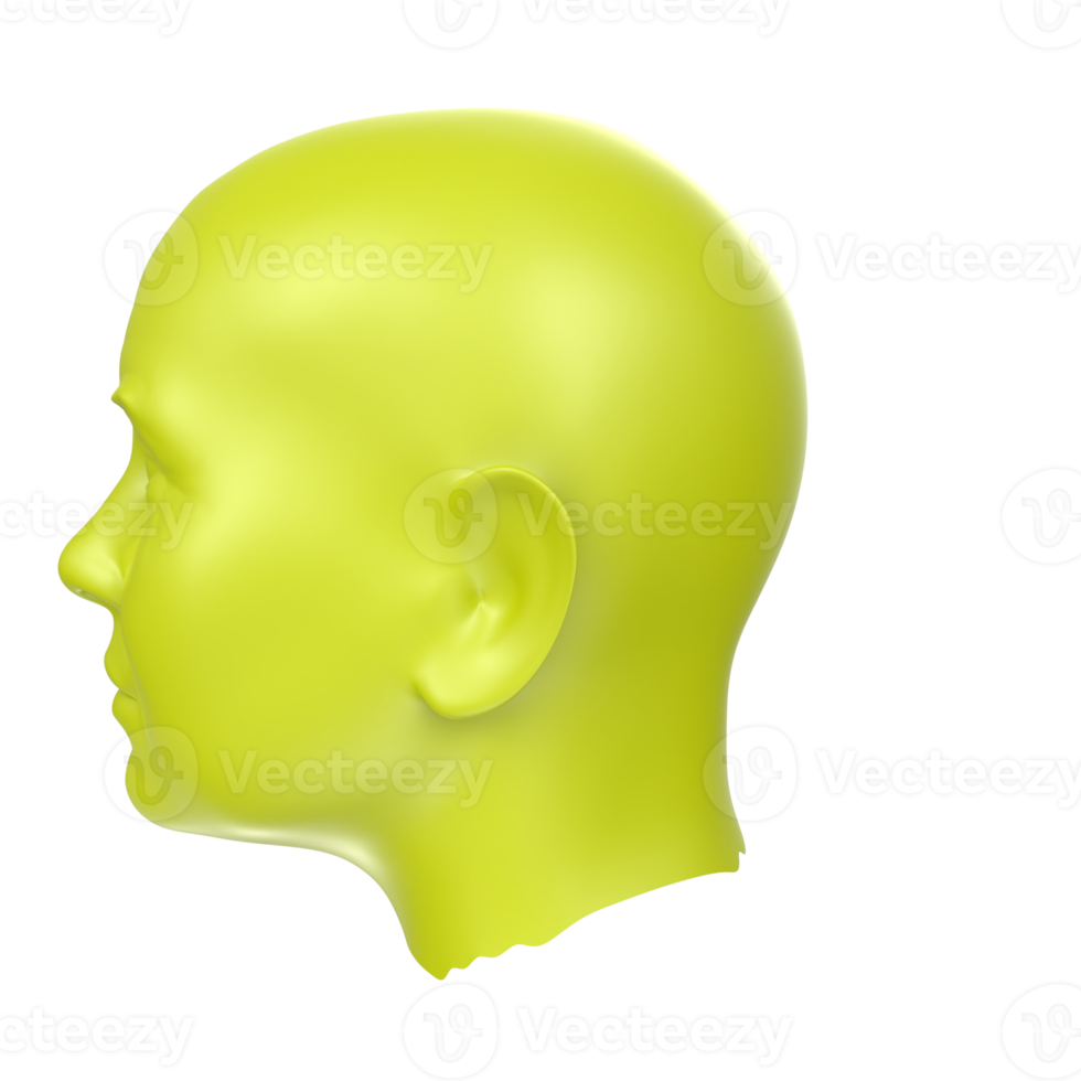 3D Rendering Of Human Bust png