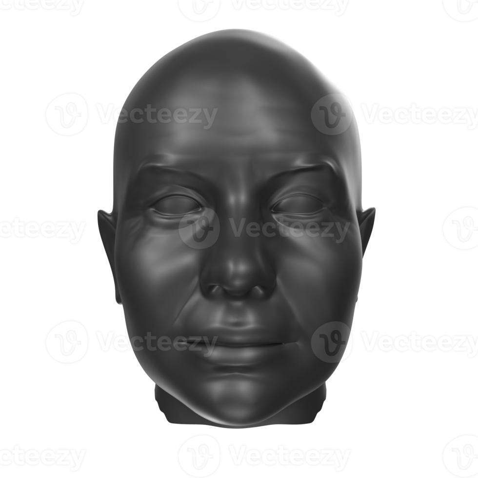 representación 3d del busto humano png