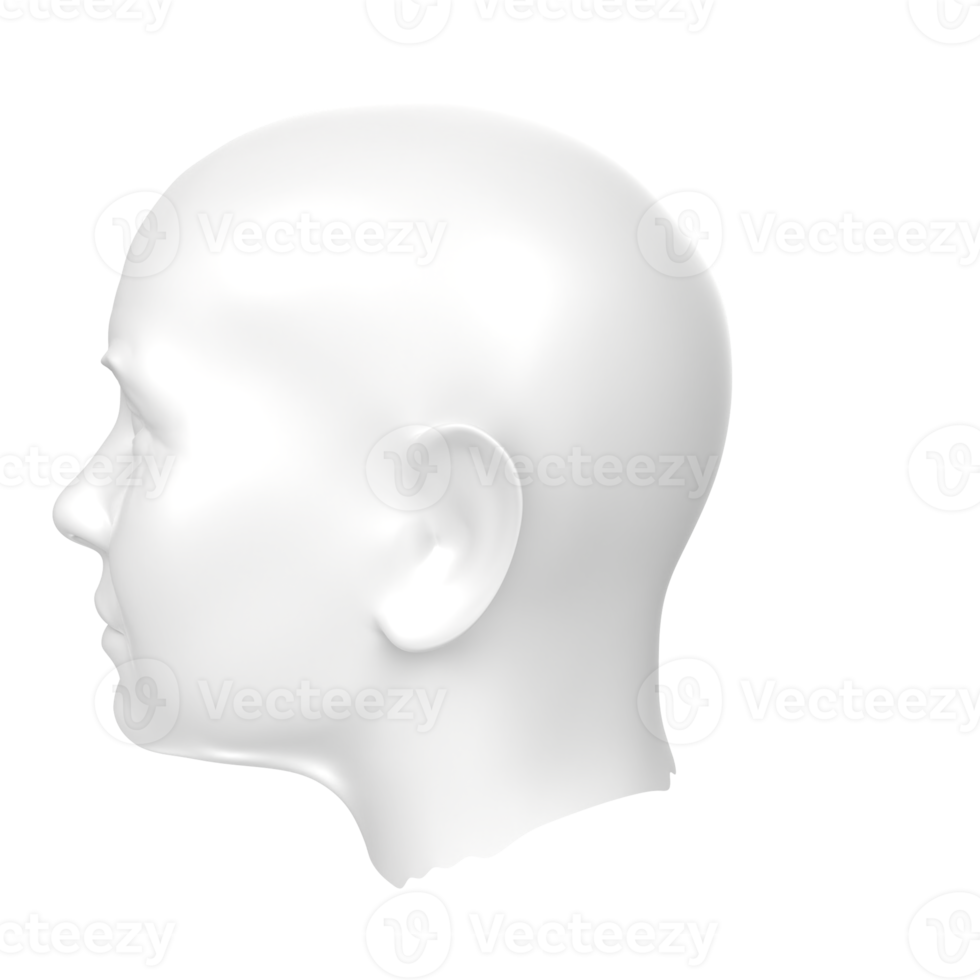 3D Rendering Of Human Bust png