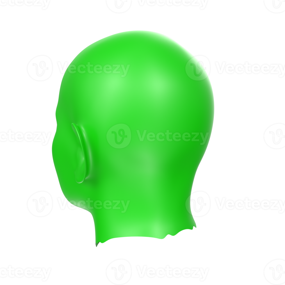 3D Rendering Of Human Bust png