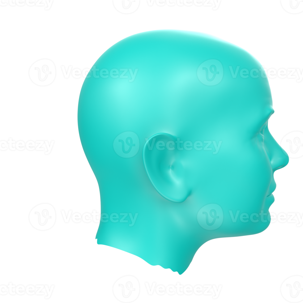 3D Rendering Of Human Bust png