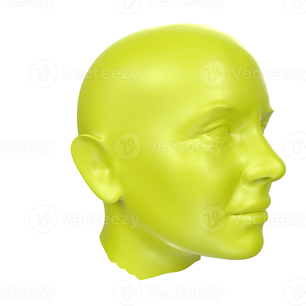 representación 3d del busto humano png