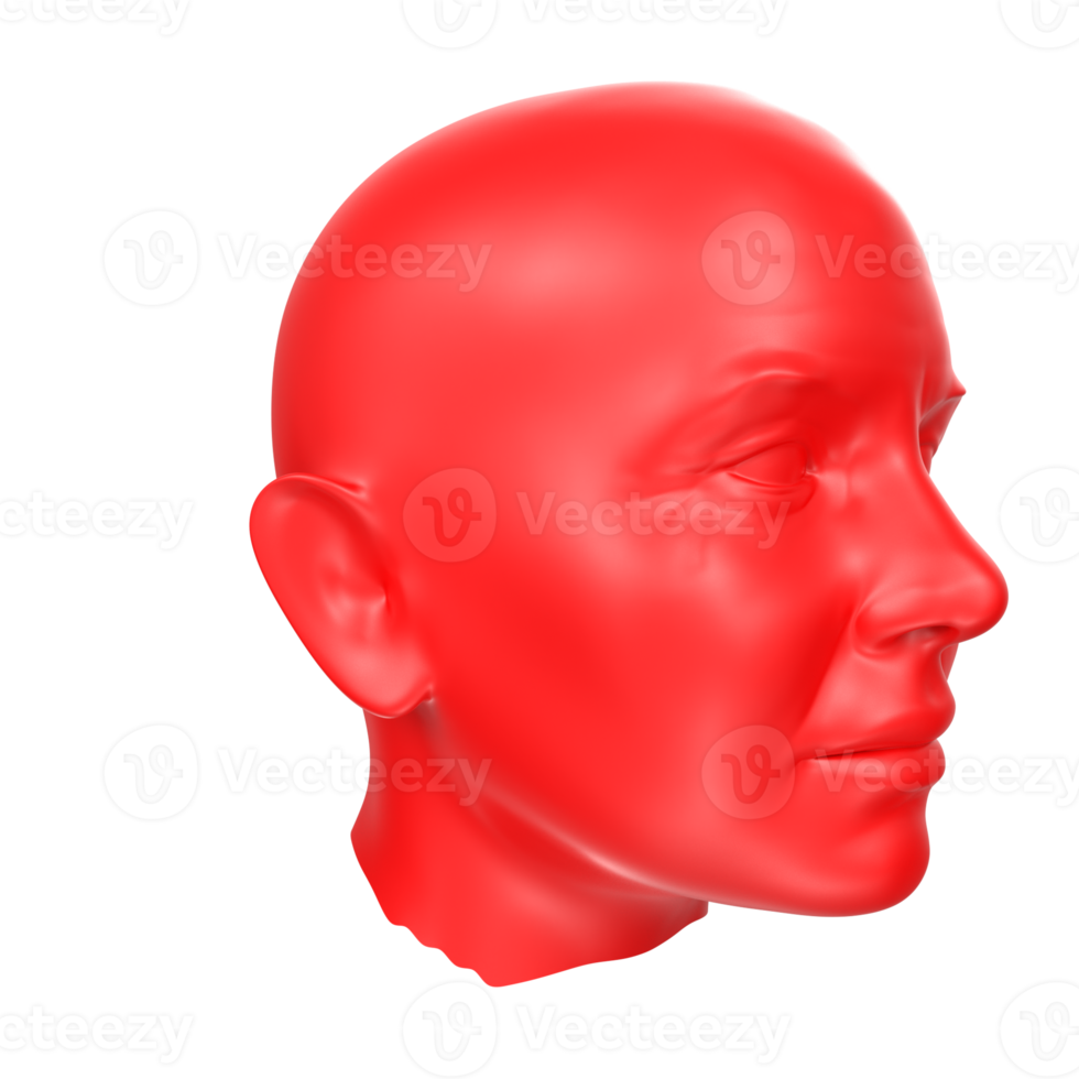 representación 3d del busto humano png