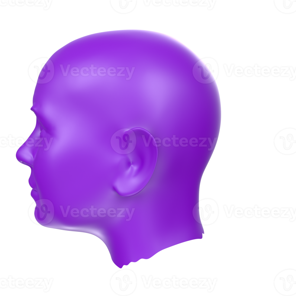 3d renderen van menselijk buste png