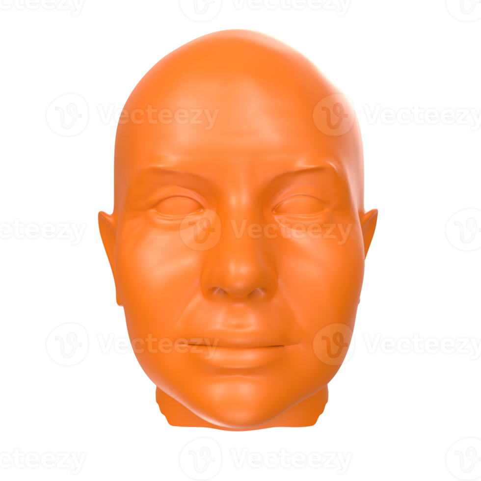 representación 3d del busto humano png