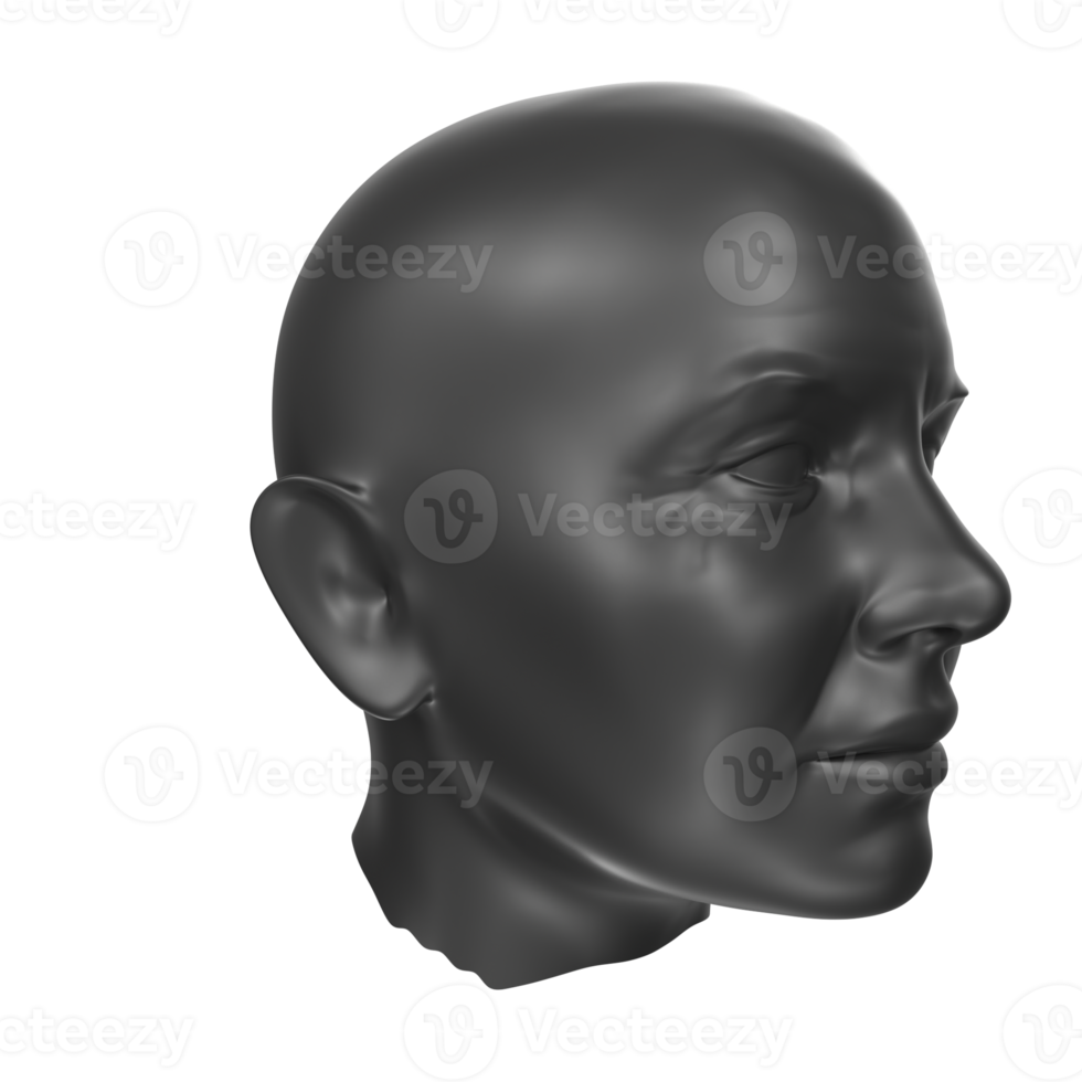 3D Rendering Of Human Bust png