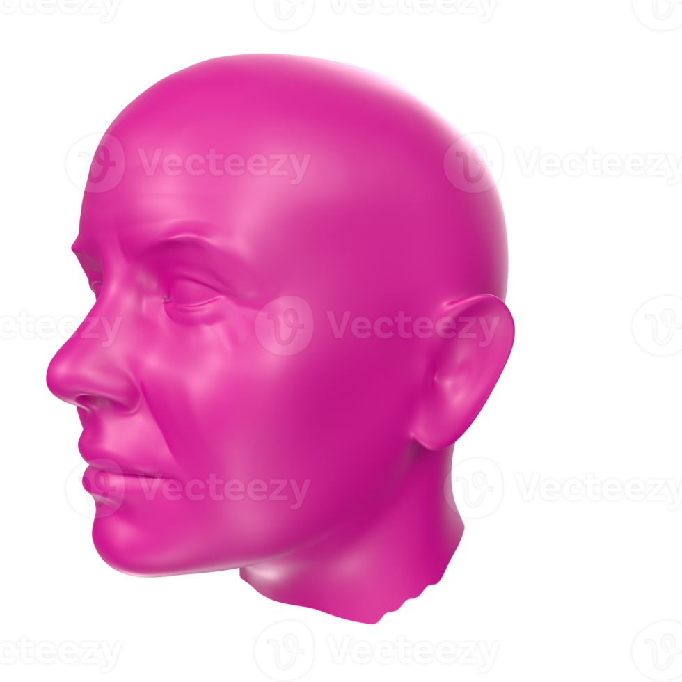 3D Rendering Of Human Bust png