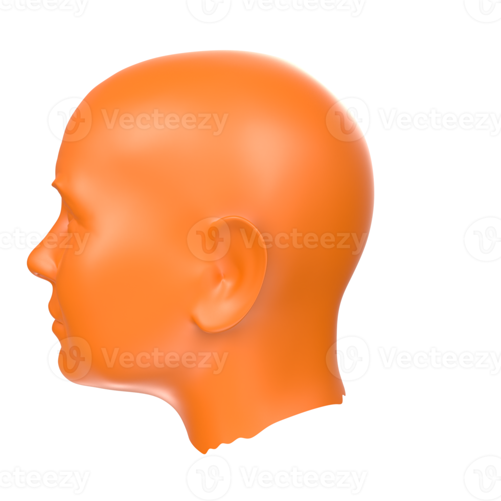 3D Rendering Of Human Bust png