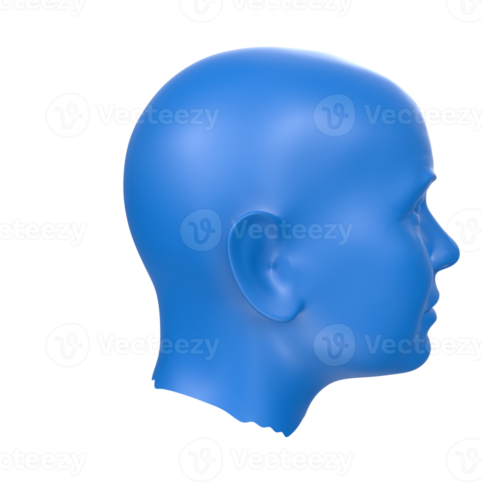 3D Rendering Of Human Bust png