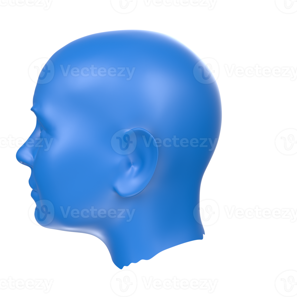 3D Rendering Of Human Bust png