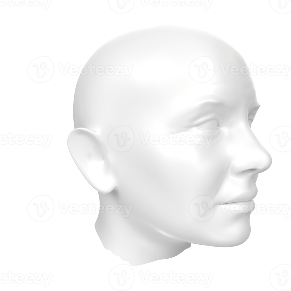 3D Rendering Of Human Bust png