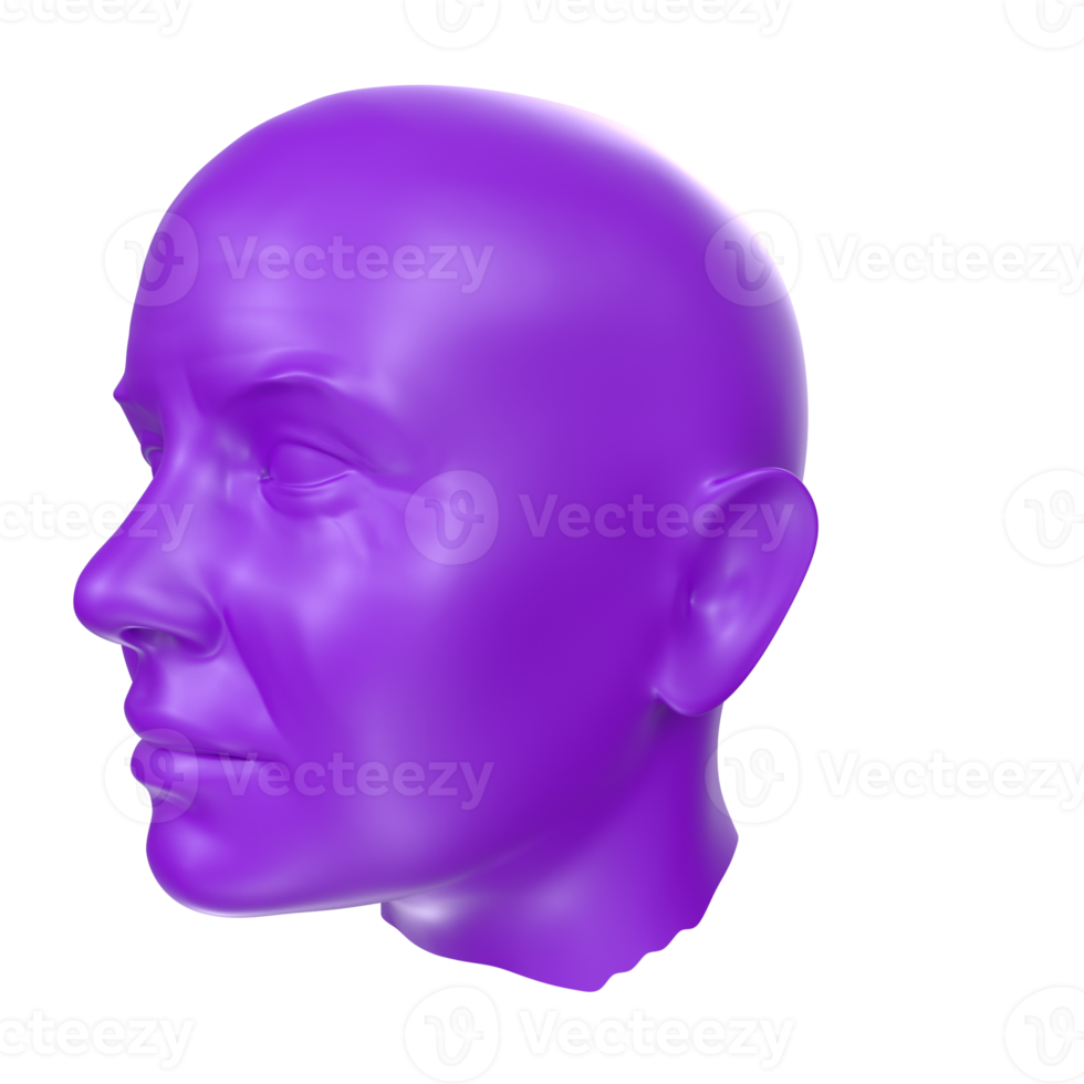 3D Rendering Of Human Bust png