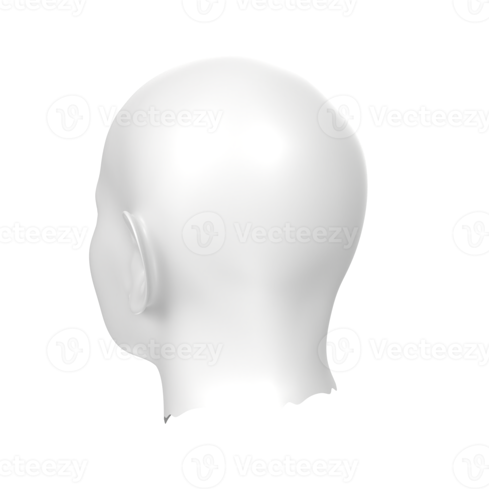 3D Rendering Of Human Bust png