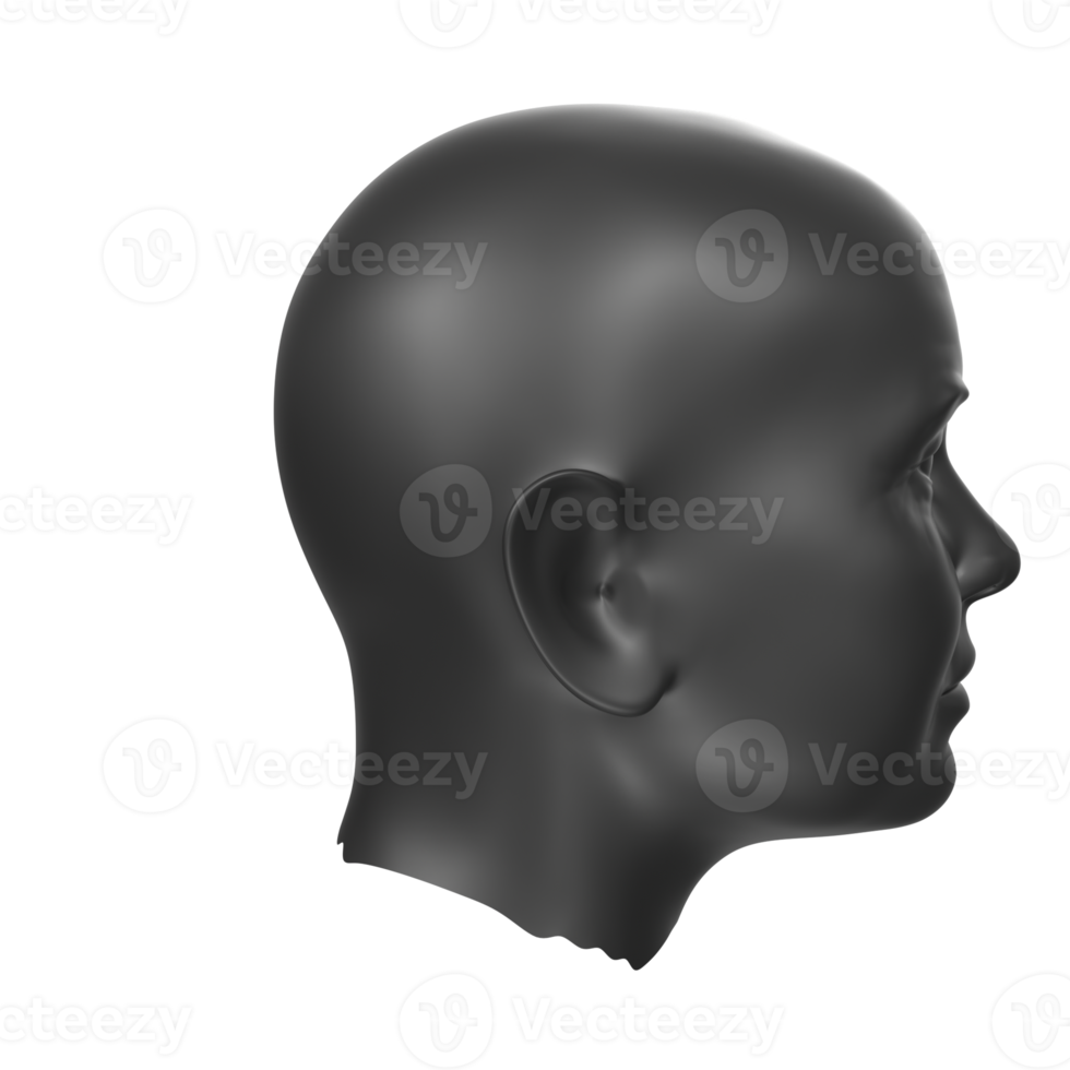 3D Rendering Of Human Bust png