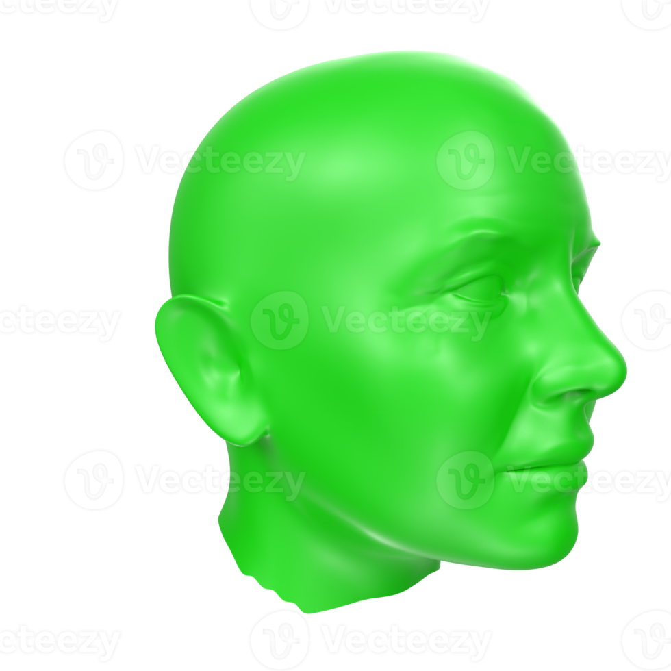 3D Rendering Of Human Bust png