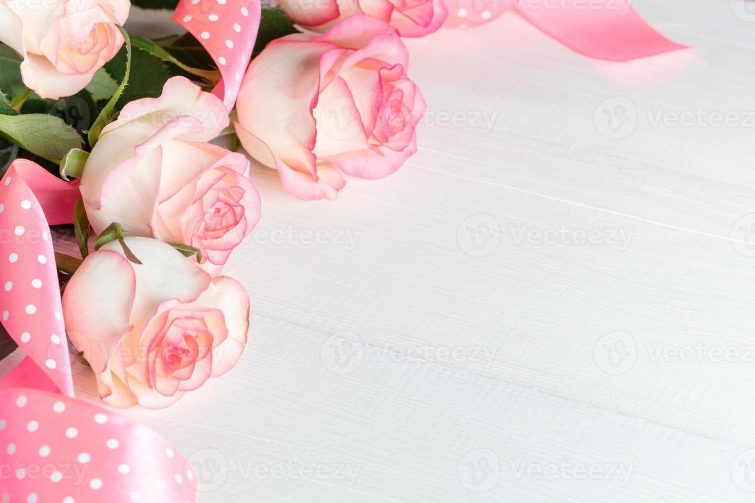 Pink roses with polka dots ribbon on white wood close up for Valentine's day, Mother's day, Wedding. photo