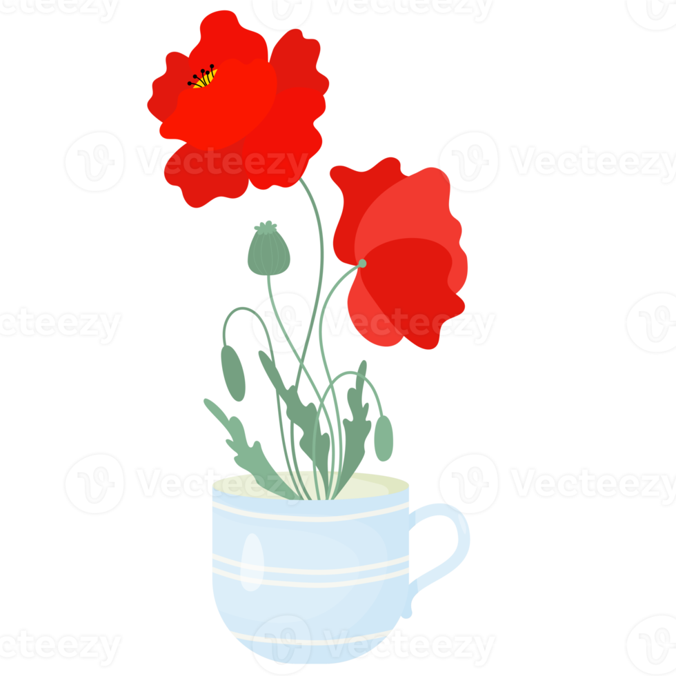 Red poppy flower in cup png