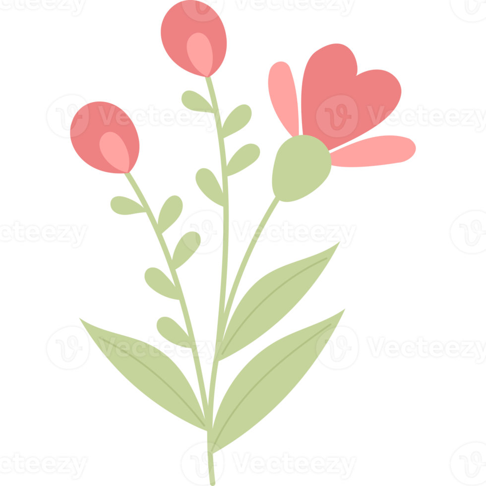Branch red flowers with leaves png