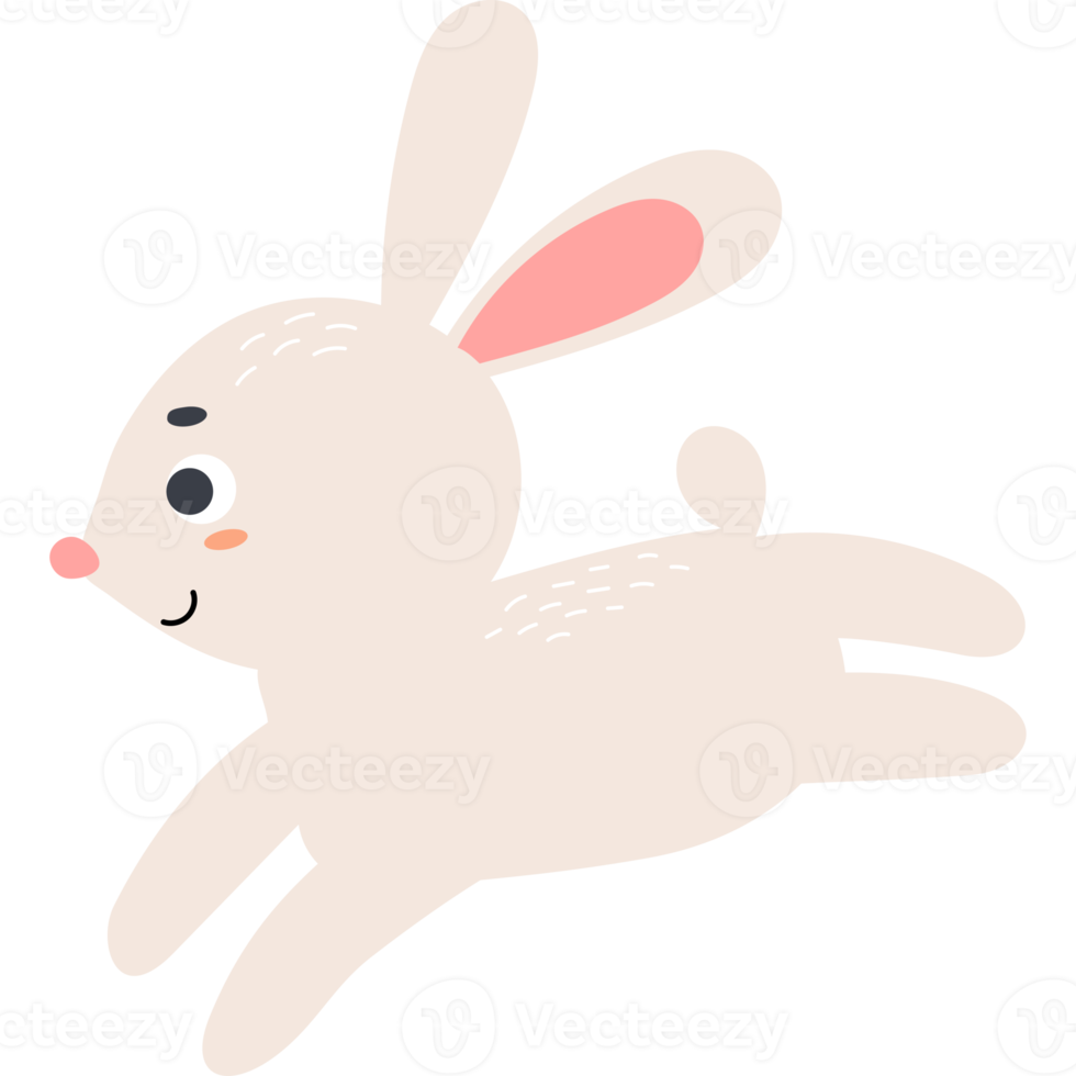 Animal. cute rabbit 18107560 PNG