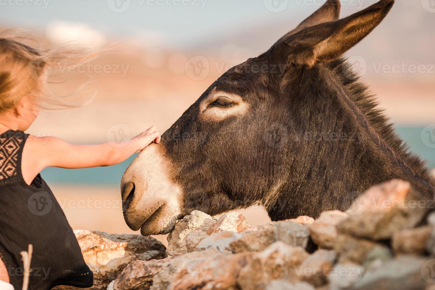 Little girl with donkey on the island of Mykonos photo