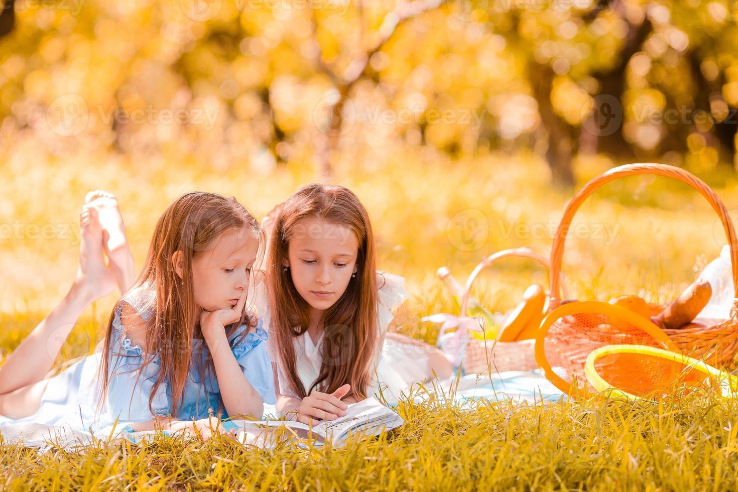 Two little kids on picnic in the park photo
