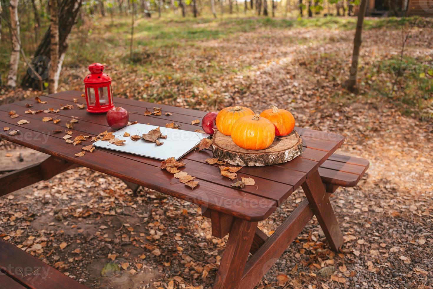 Orange pumpkin and leaves near laptop computer on a table. Autumn season time photo