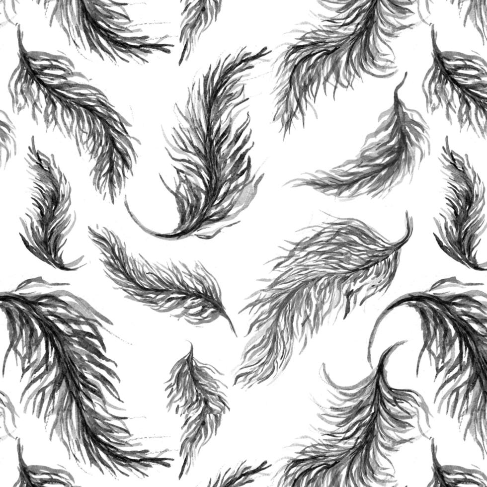 watercolor feathers seamless pattern photo