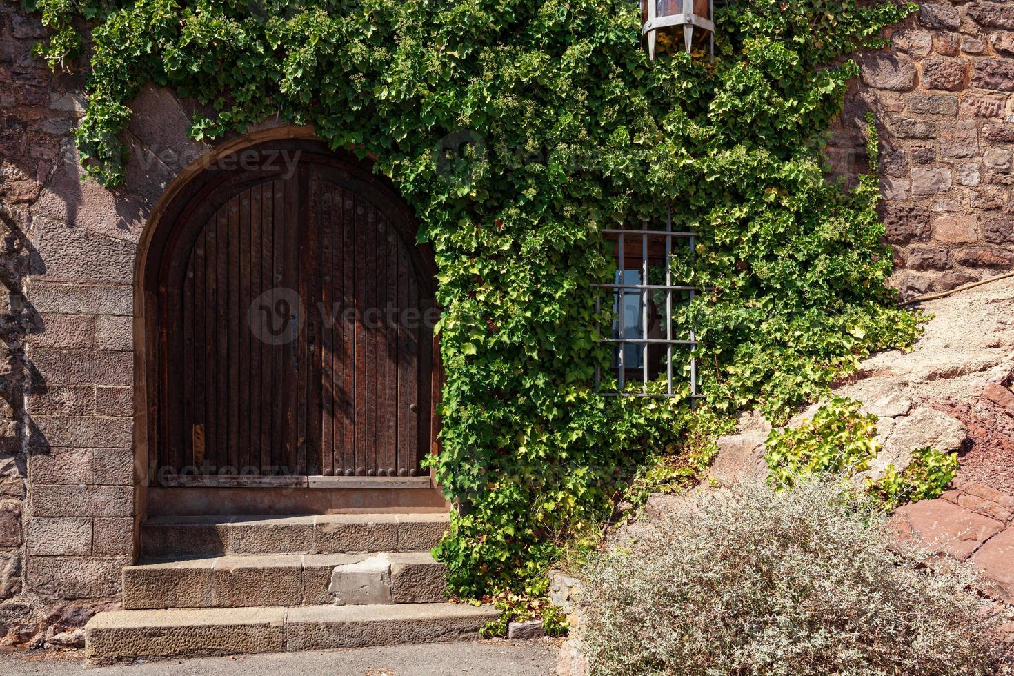 Old wooden door and brown bricks with green ivy photo