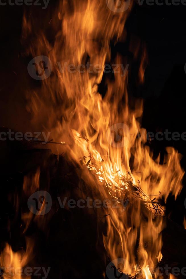 Fire flames on a black background photo