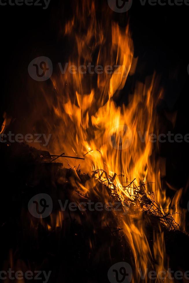 Fire flames on a black background photo