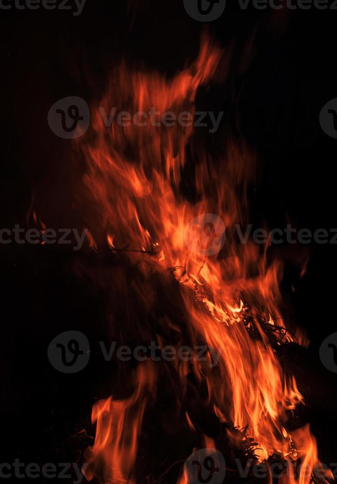 Fire flames on a black background photo