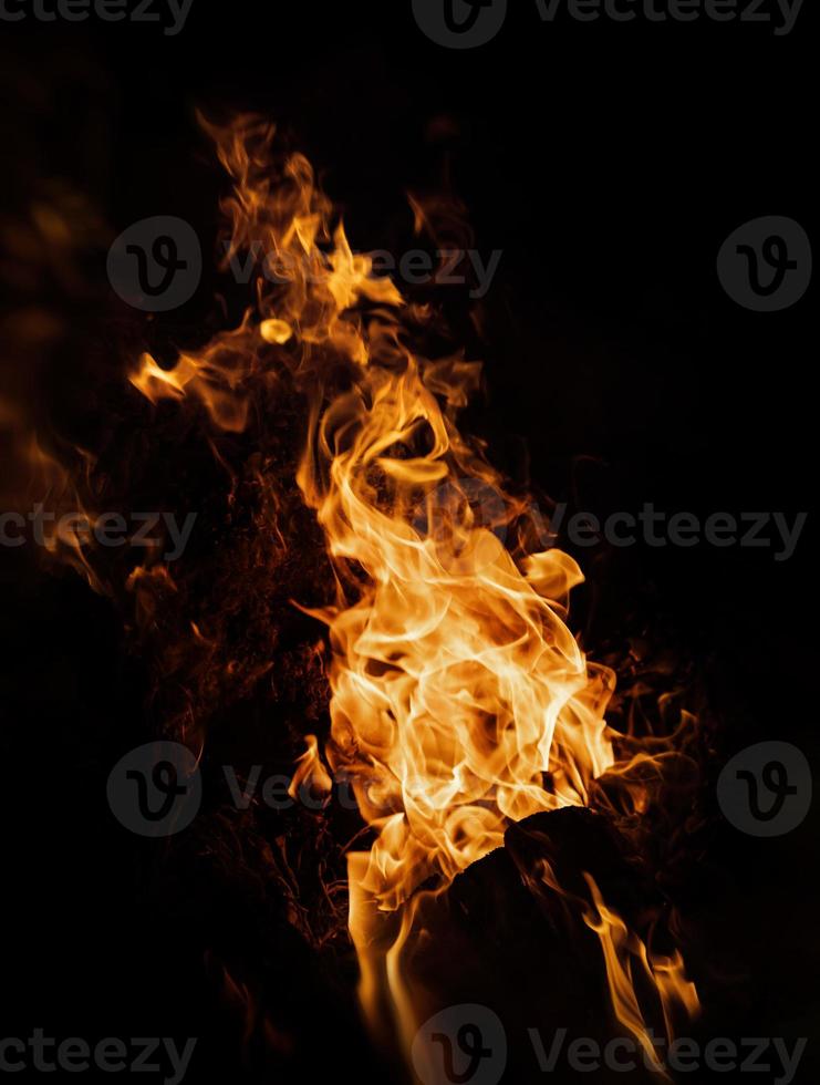 Fire flames on a black background photo