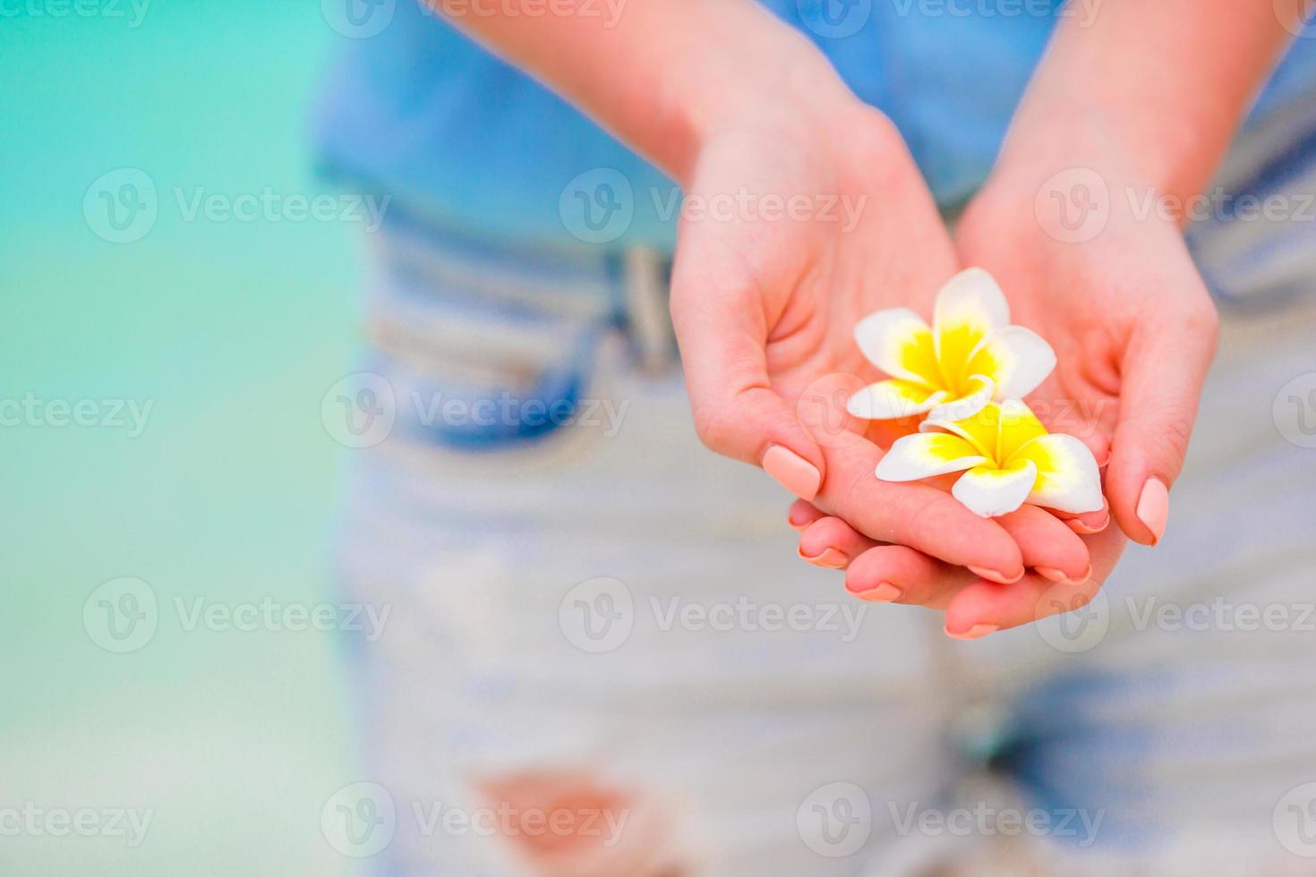 Beautiful frangipani flowers background turquoise sea photo