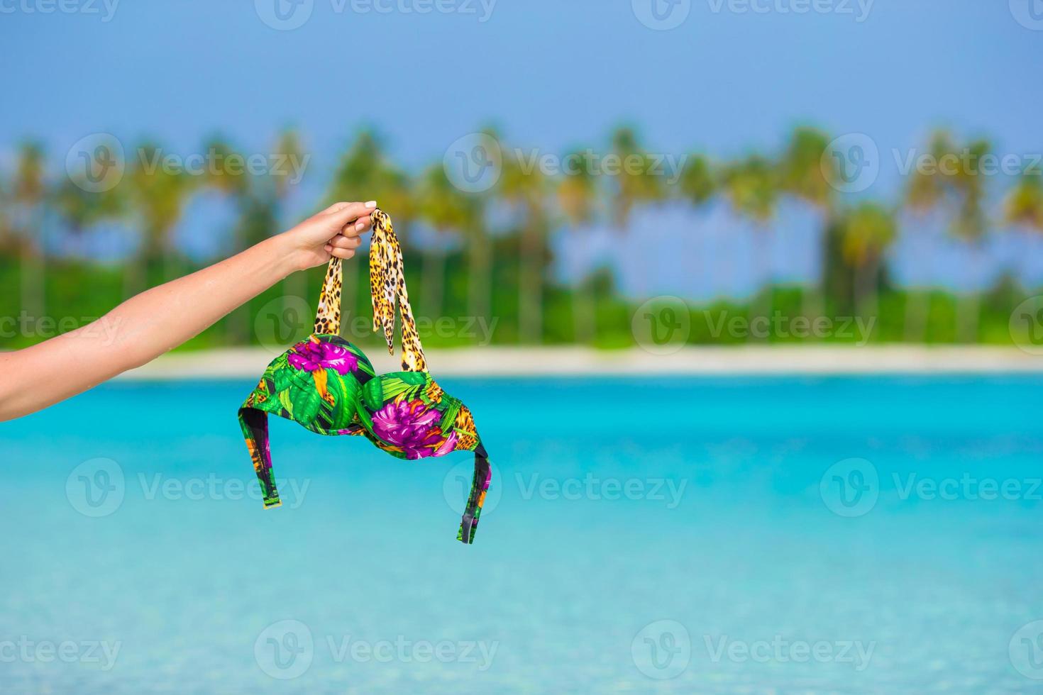 Closeup swimsuit on background of turquoise water and palmtrees photo