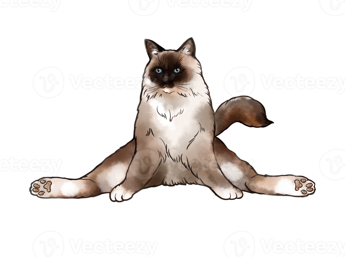 cartone animato scarabocchio comico acquerello disegno di zen Meditare gatti nel yoga posa e asana, namaste. per disegno, carte, nozze inviti, illustrazioni png