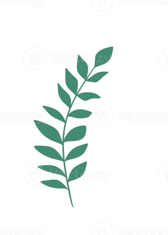 Leaf Line Art png