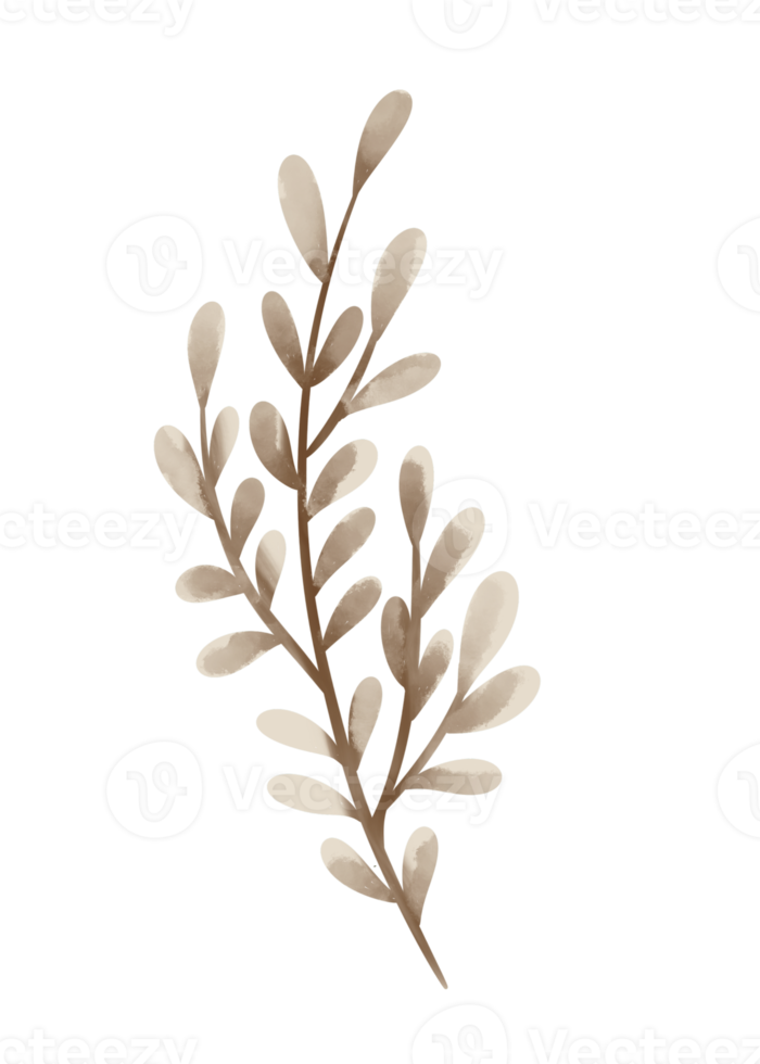 blad lijntekeningen png