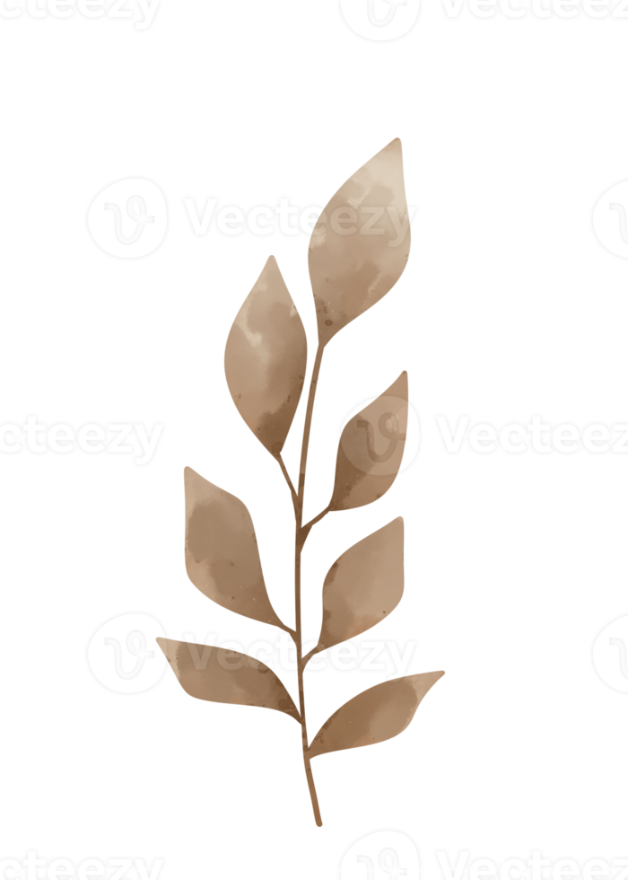 blad lijntekeningen png