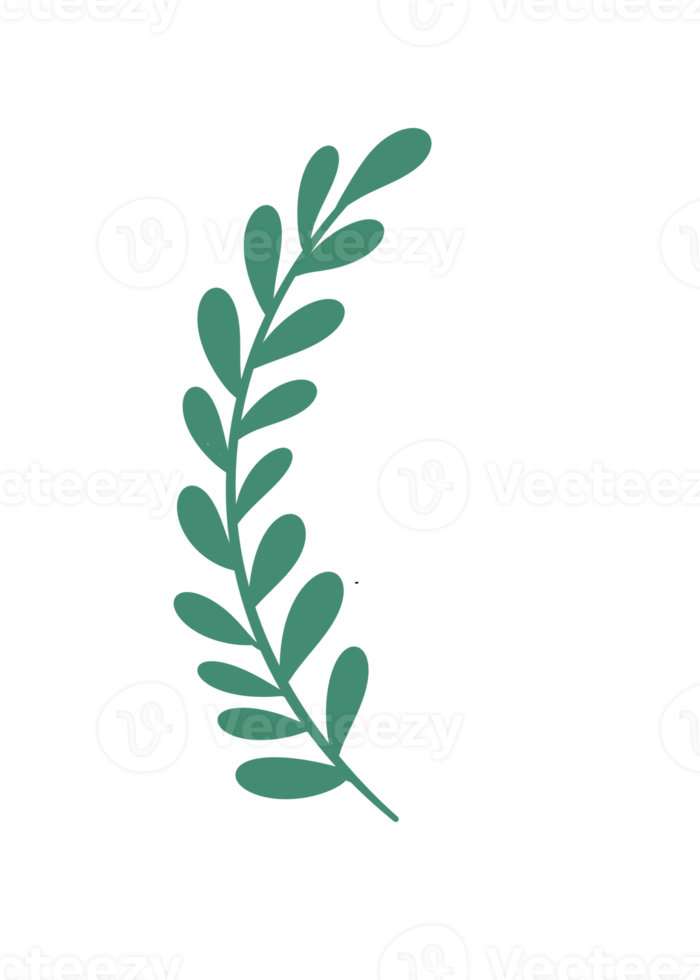 Leaf Line Art png