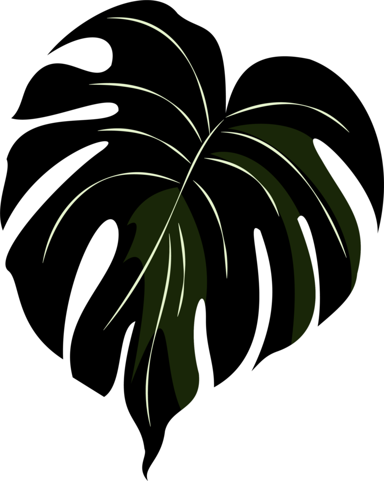 feuille tropicale de couleur verte et veinée png