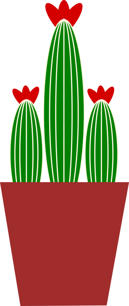 cactus met bloem png