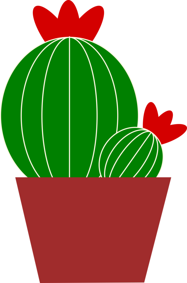 cactus con flor png