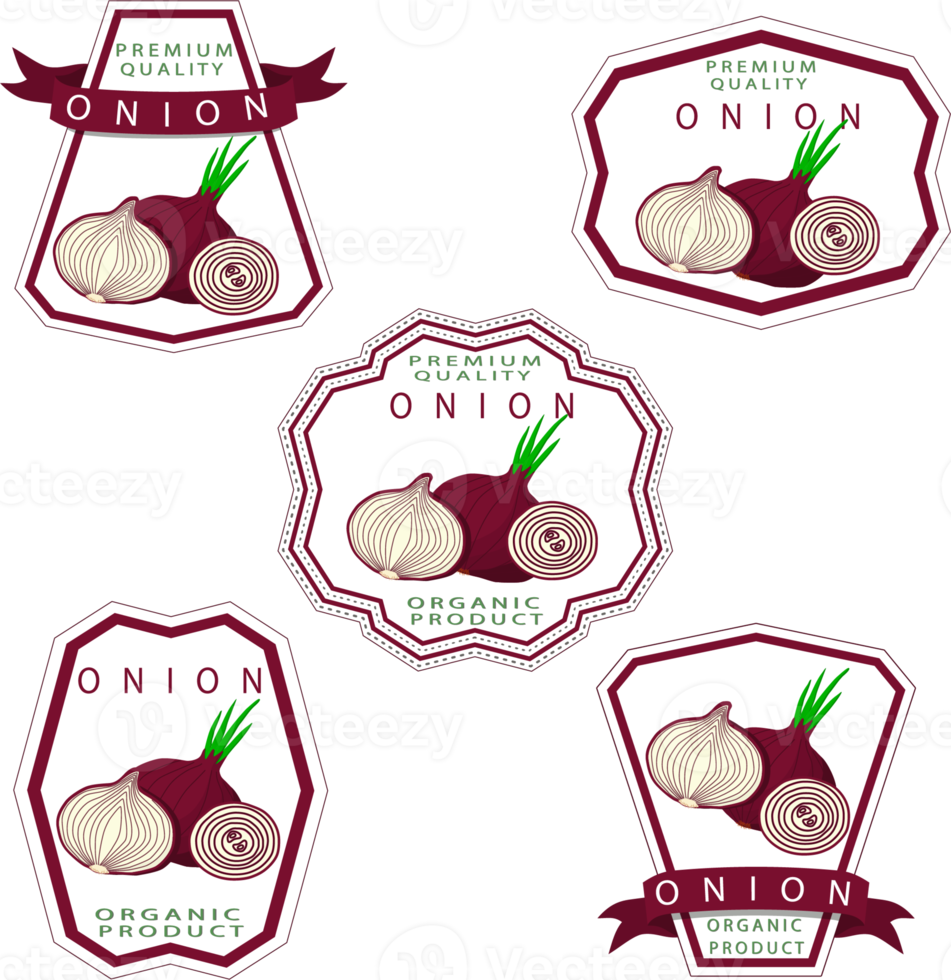 Sweet juicy tasty natural eco product onion png