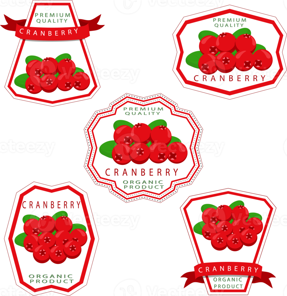 Sweet juicy tasty natural eco product cranberry png