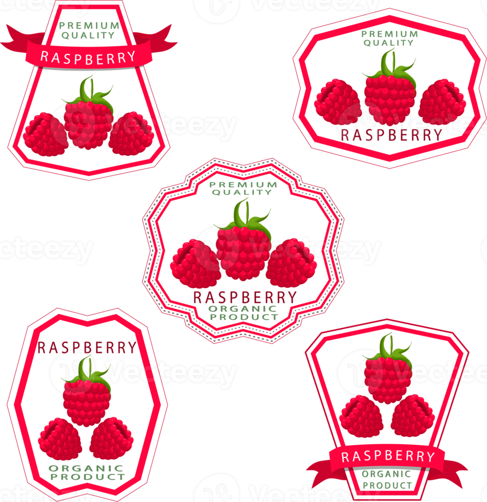 Sweet juicy tasty natural eco product raspberry png