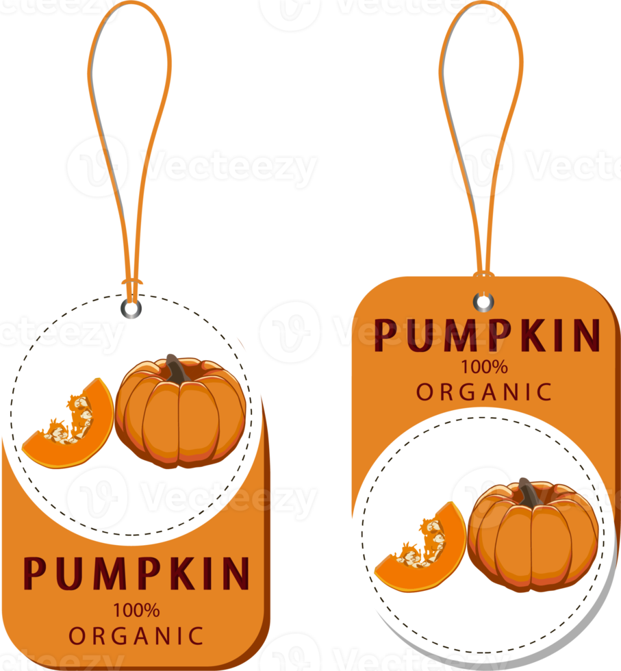 Sweet juicy tasty natural eco product pumpkin png